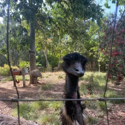 Ramat Gan Safari - Ramat Gan