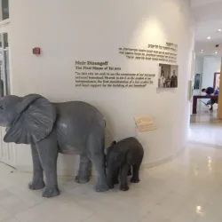 Beit Ha'ir Museum - Ramat HaSharon