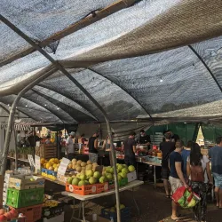 Local Farmers Market - Ramat HaSharon