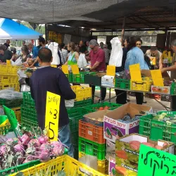 Local Farmers Market - Ramat HaSharon