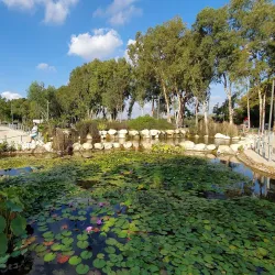 Ramat HaSharon Botanical Garden - Ramat HaSharon