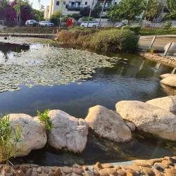 Ramat HaSharon Botanical Garden - Ramat HaSharon