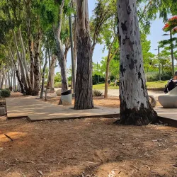 Ramat HaSharon Botanical Garden - Ramat HaSharon