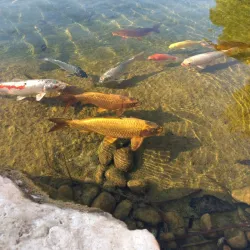 Ramat HaSharon Park - Ramat HaSharon