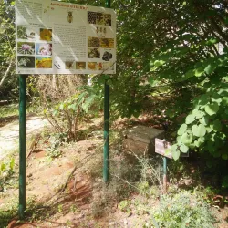 Rehovot Botanical Gardens - Rehovot