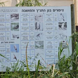 Rehovot Botanical Gardens - Rehovot