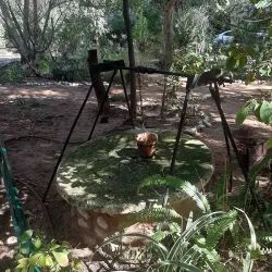 Rehovot Botanical Gardens - Rehovot