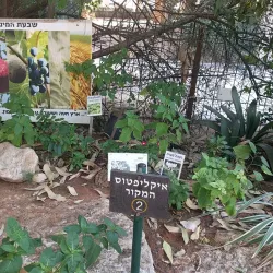 Rehovot Botanical Gardens - Rehovot