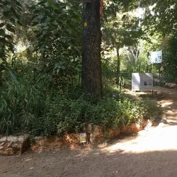 Rehovot Botanical Gardens - Rehovot
