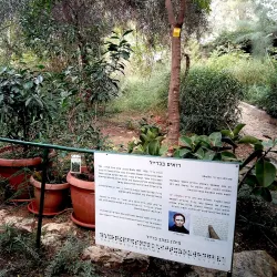 Rehovot Botanical Gardens - Rehovot