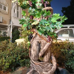 Rehovot Botanical Gardens - Rehovot