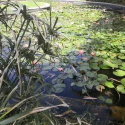 Weizmann Institute of Science - Rehovot