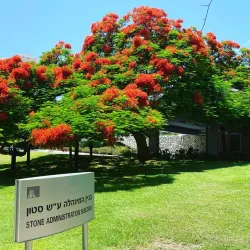 Weizmann Institute of Science - Rehovot