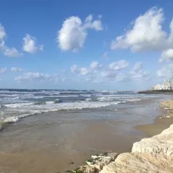 Beit Gidi - Rishon Leziyyon