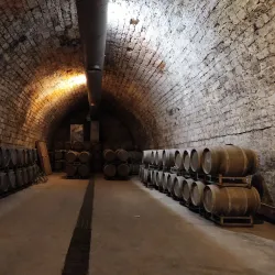 Carmel Winery - Rishon Leziyyon