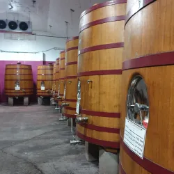Carmel Winery - Rishon Leziyyon