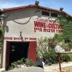 Carmel Winery - Rishon Leziyyon