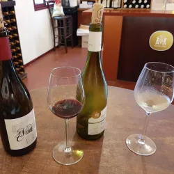 Carmel Winery - Rishon Leziyyon