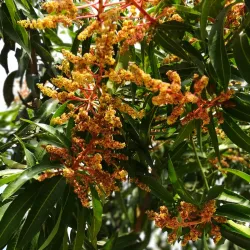 Kiryat HaMada Science Park - Rishon Leziyyon