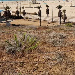 Rishon LeZion Beach - Rishon Leziyyon