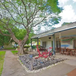 Agricultural Tours - Rumet Heib (Rumat Al-Hieb)