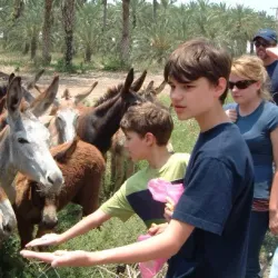 Agricultural Tours - Rumet Heib (Rumat Al-Hieb)