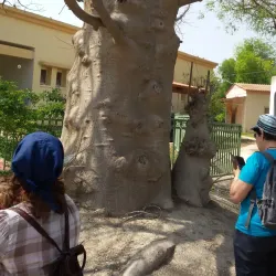 Agricultural Tours - Rumet Heib (Rumat Al-Hieb)