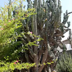 Agricultural Tours - Rumet Heib (Rumat Al-Hieb)