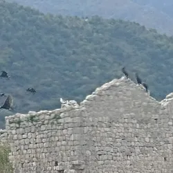 Community Center - Rumet Heib (Rumat Al-Hieb)