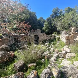 Scenic Viewpoints - Rumet Heib (Rumat Al-Hieb)