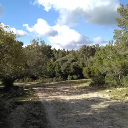 Surrounding Natural Trails - Rumet Heib (Rumat Al-Hieb)