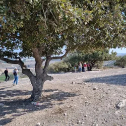 Surrounding Natural Trails - Rumet Heib (Rumat Al-Hieb)