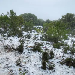 Mount Meron - Safed (Tzefat