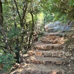 Mount Meron - Safed (Tzefat