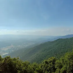 Mount Meron - Safed (Tzefat