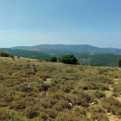 Mount Meron - Safed (Tzefat