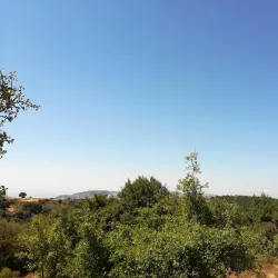 Mount Meron - Safed (Tzefat