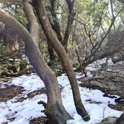 Mount Meron - Safed (Tzefat