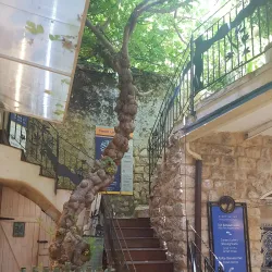 The Abuhav Synagogue - Safed (Tzefat