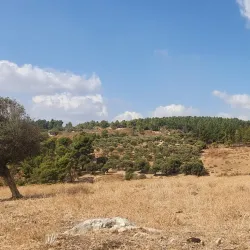 The Galilee Sea (Sea of Galilee) - Safed (Tzefat