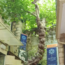 The Museum of Kabbalah - Safed (Tzefat