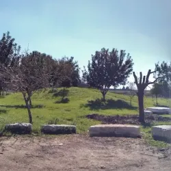 Sde Yitzhak Kibbutz - Sde Yitzhak