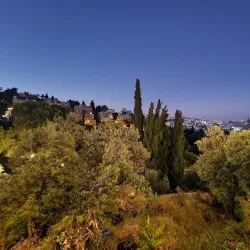 Community Festivals and Events - Taibe