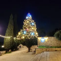 Community Festivals and Events - Taibe