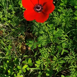 Surrounding Natural Trails - Taibe