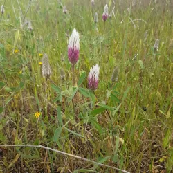 Surrounding Natural Trails - Taibe