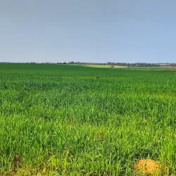 Surrounding Natural Trails - Taibe