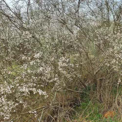 Surrounding Natural Trails - Taibe