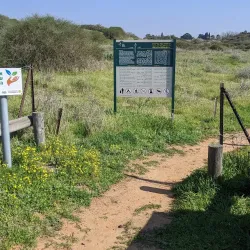 Surrounding Natural Trails - Taibe