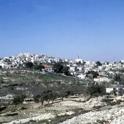 Traditional Palestinian Cuisine Restaurants - Taibe